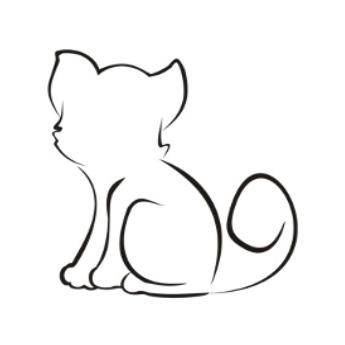 Enlarge Honey Bun, a Adoptable Domestic Short Hair in Boulder, CO image 5/6