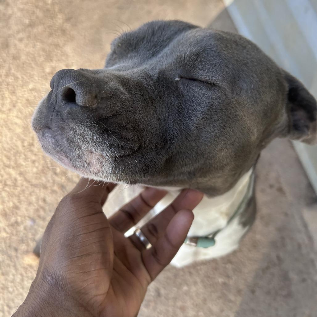 Cupcake aka "Teacup"