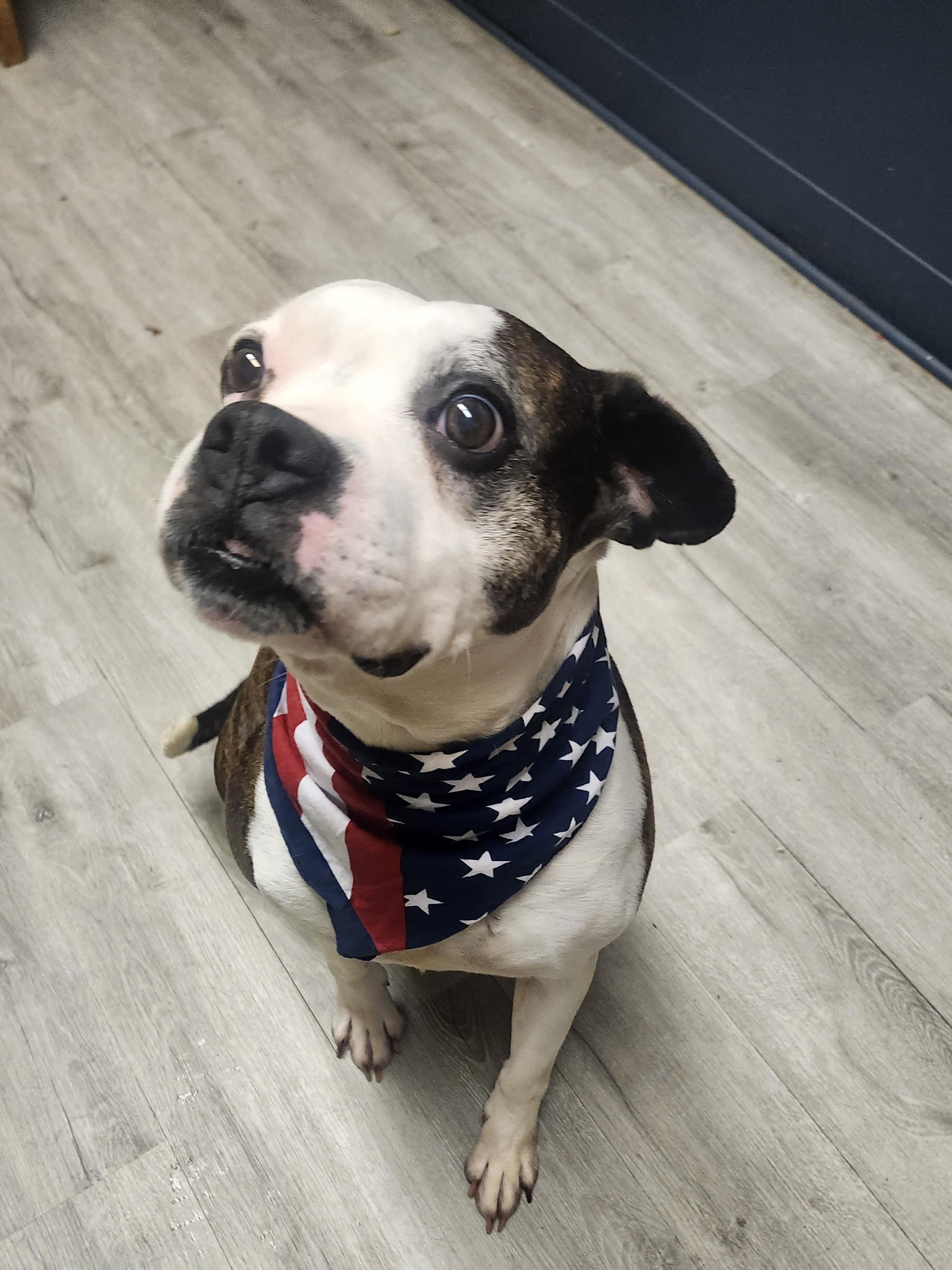 Somersault thumbnail 4