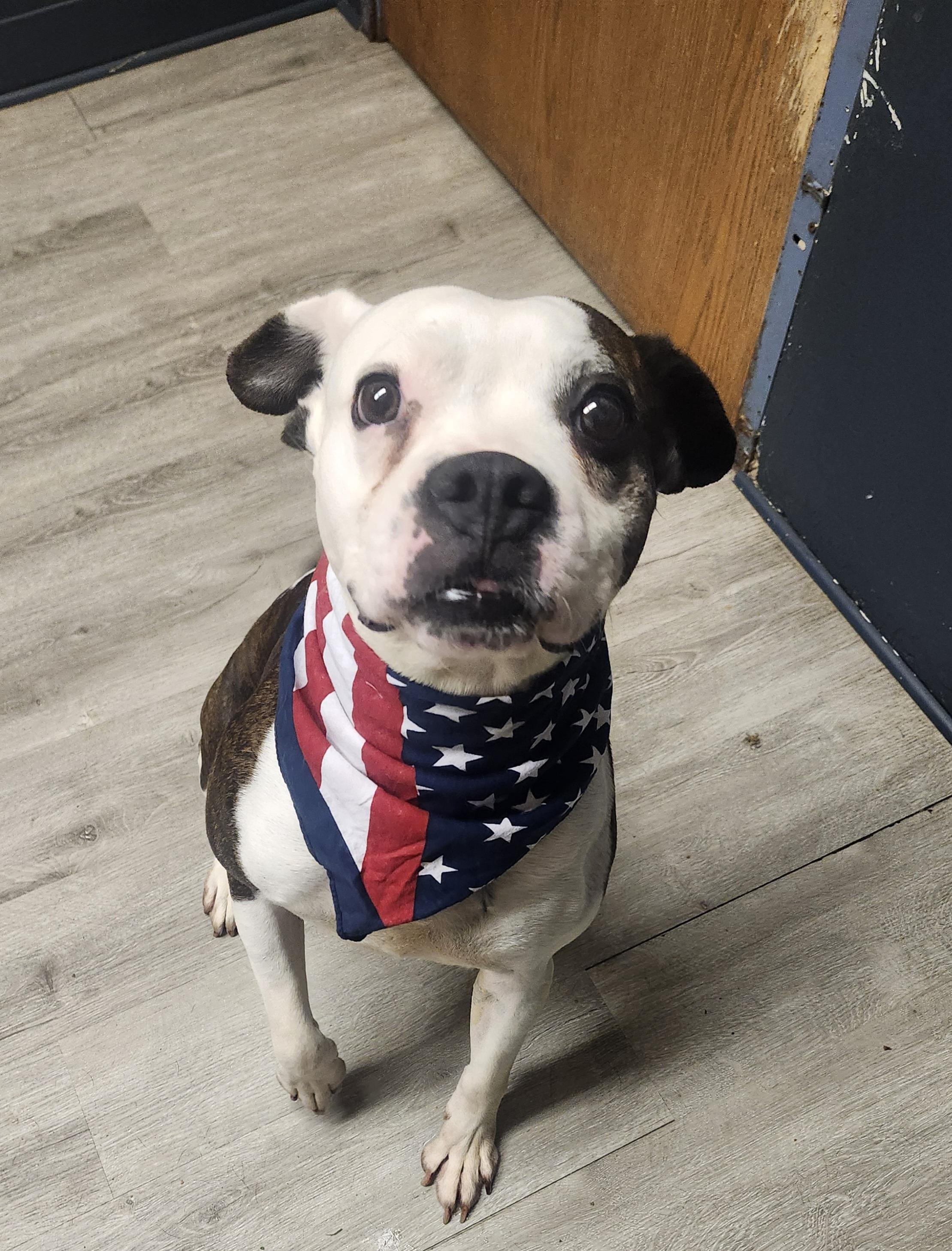 Somersault thumbnail 5