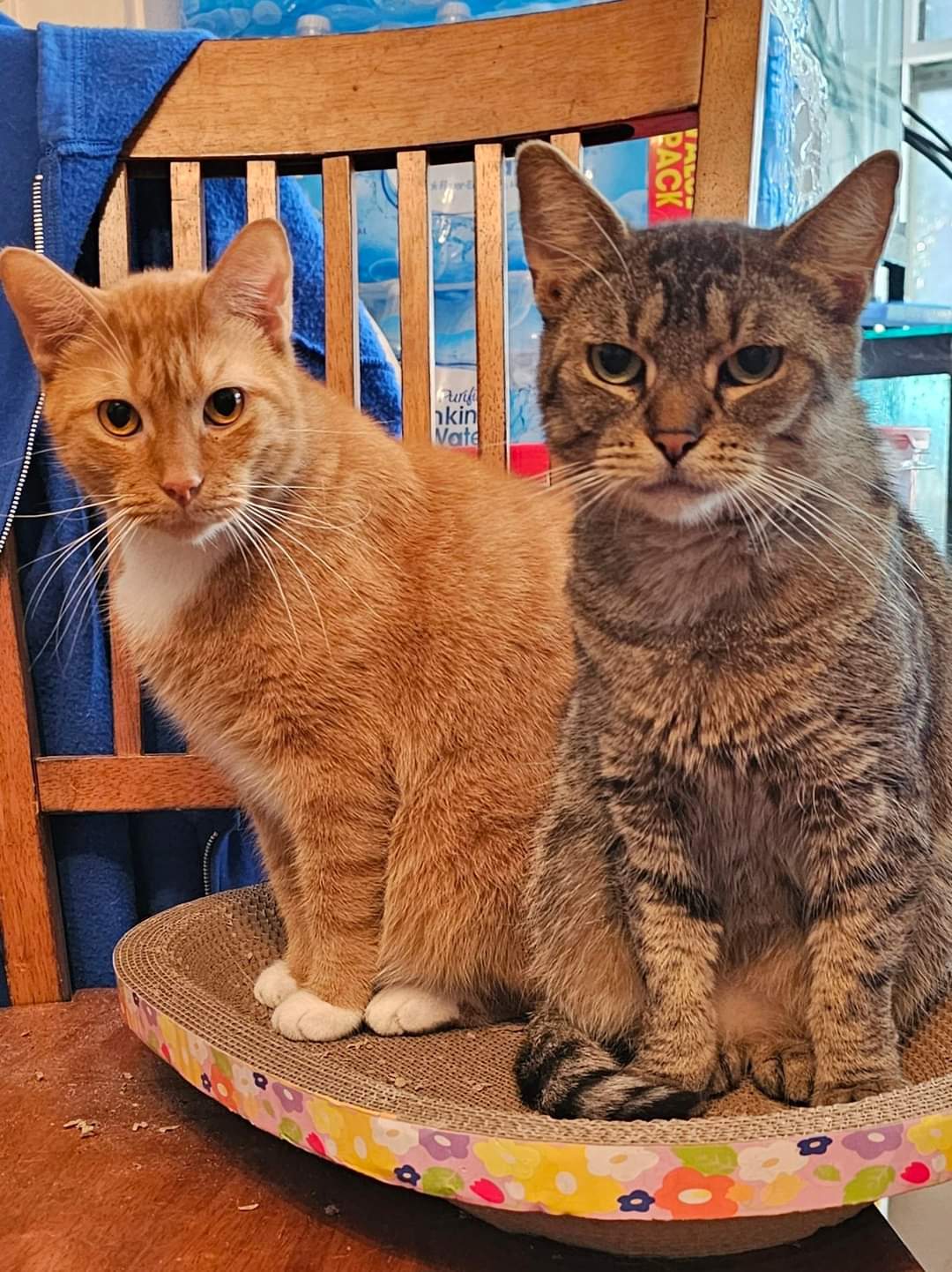 Drama and Timothy