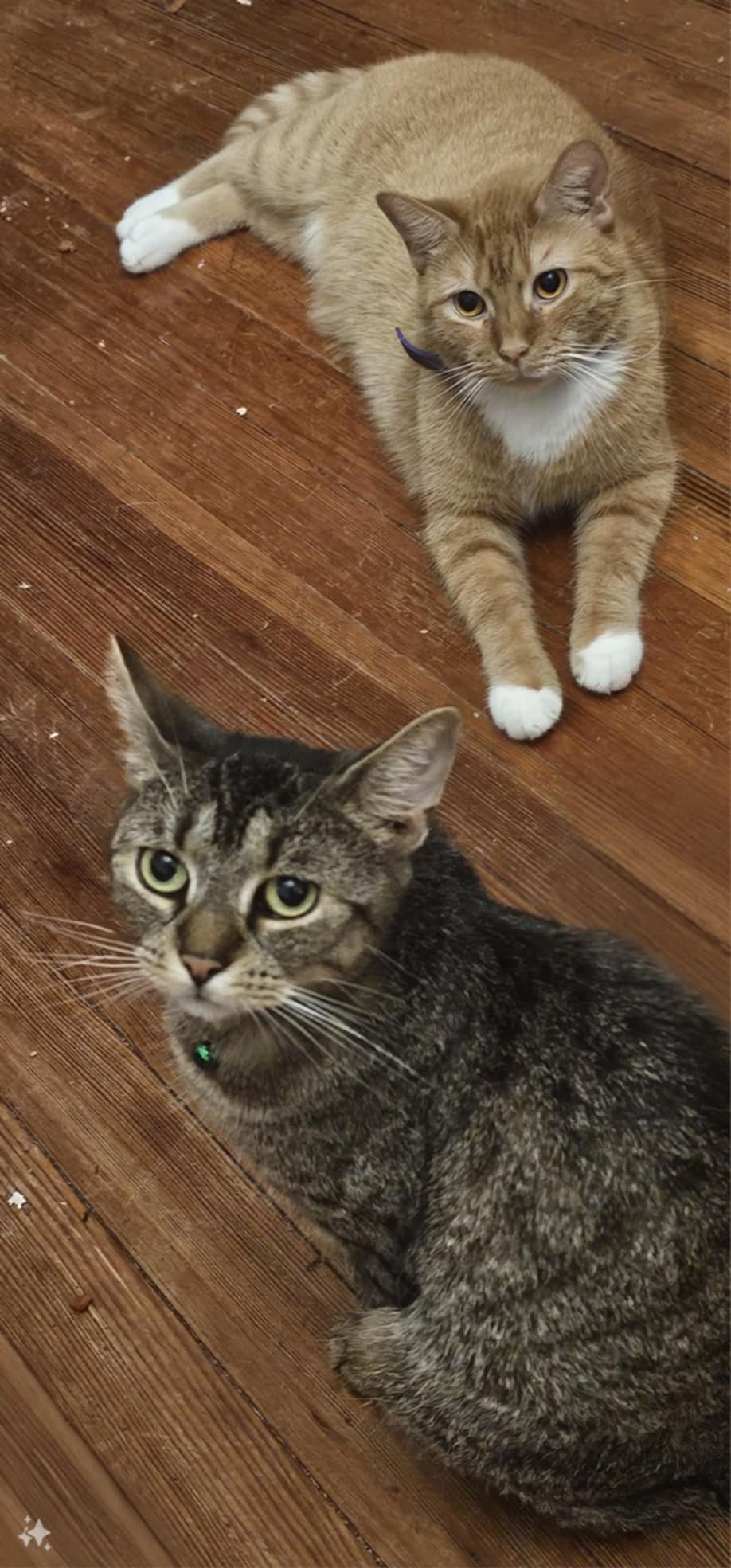 Drama and Timothy