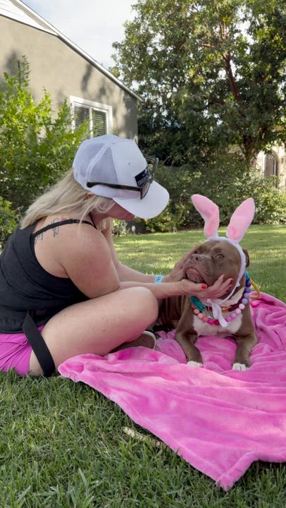 Enlarge Brandi, a ADOPTABLE mixed breed in Sun Valley, CA video 6/6