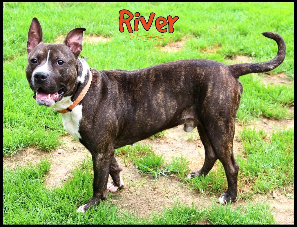 River 3