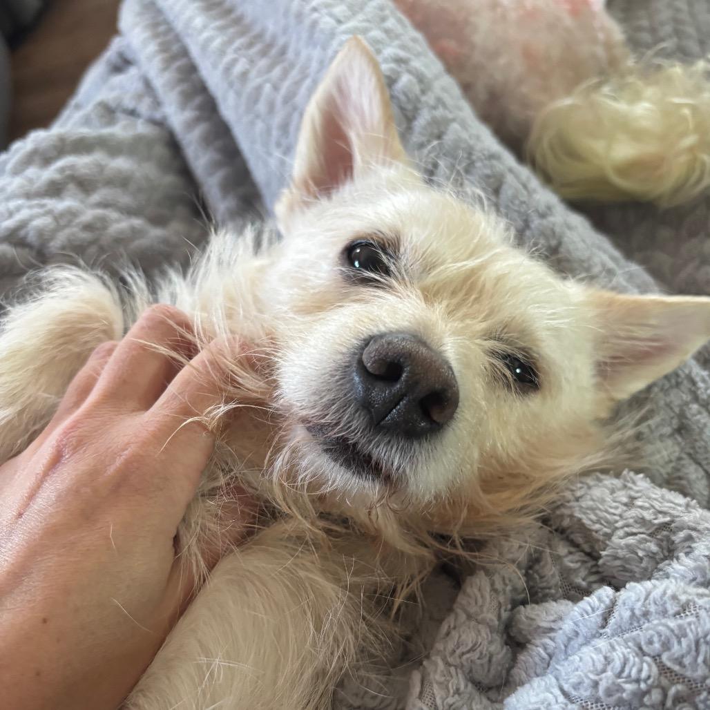 Turbo — thumbnail 2