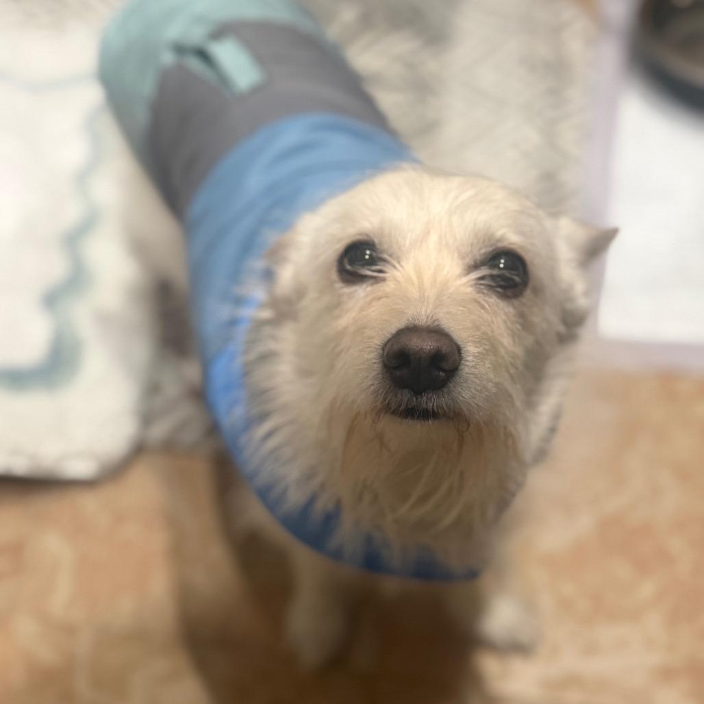 Turbo — thumbnail 3