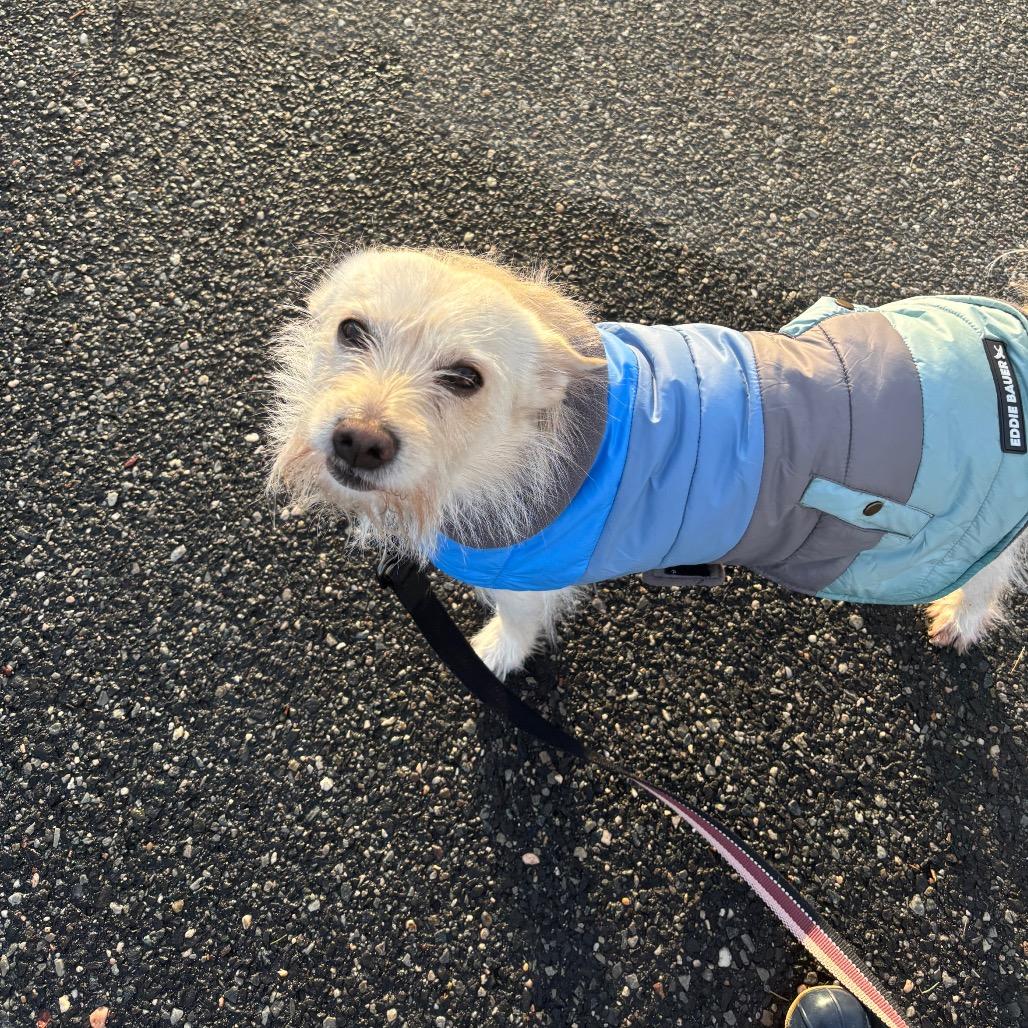 Turbo — thumbnail 4