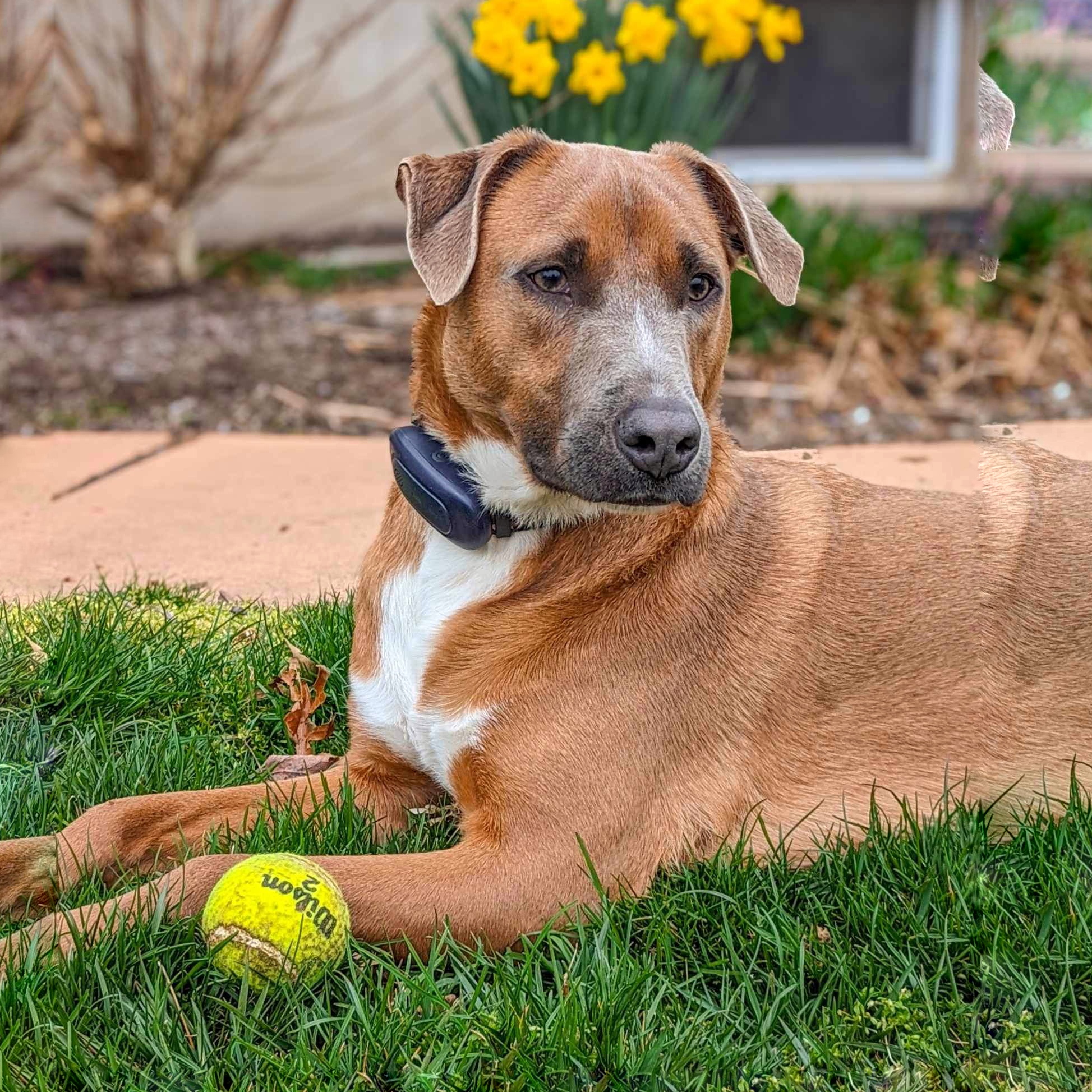 Pablo