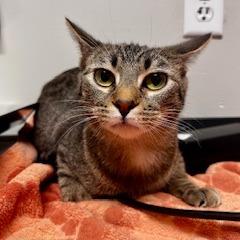 Dear John — thumbnail 2