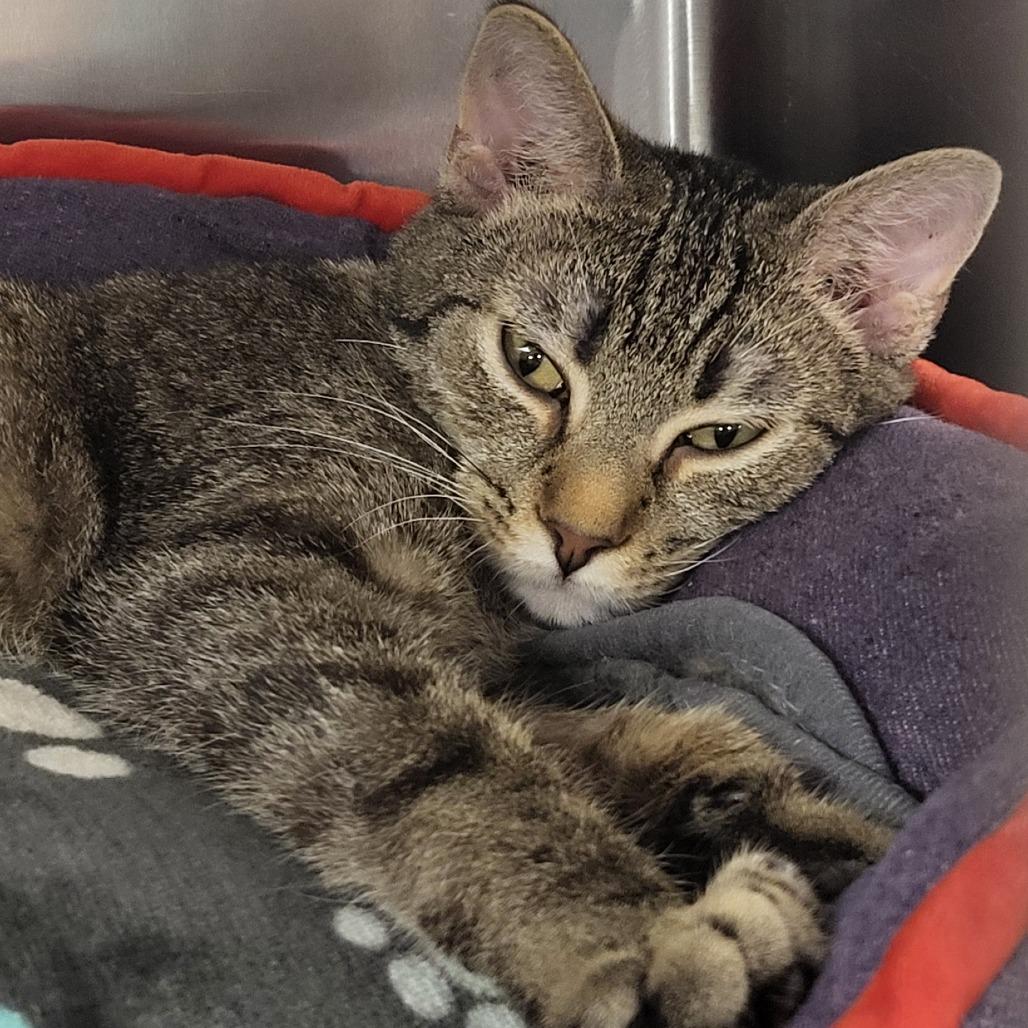 Dear John — thumbnail 3