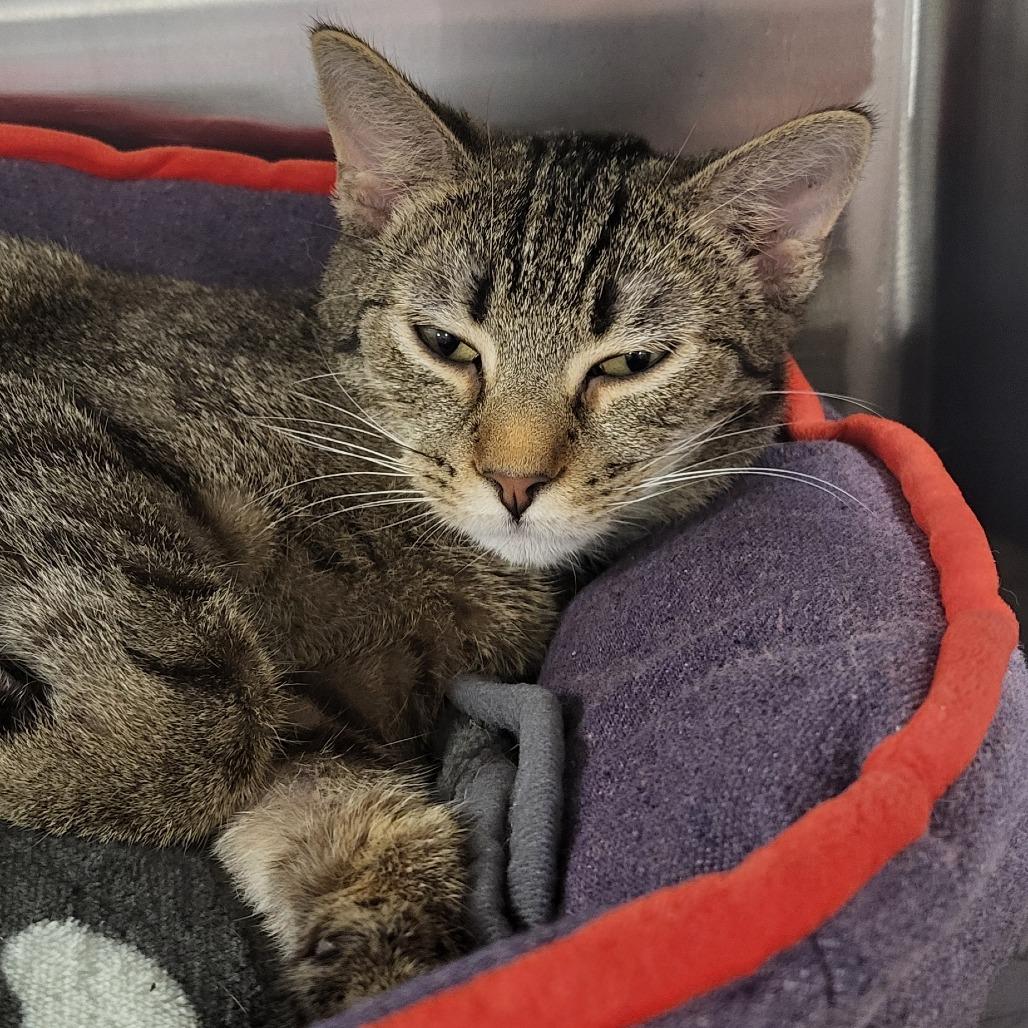 Dear John — thumbnail 4