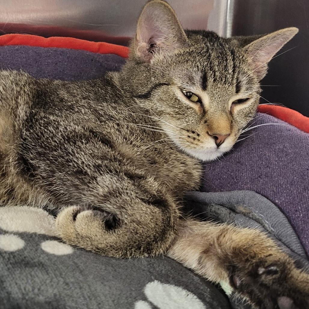 Dear John — thumbnail 5