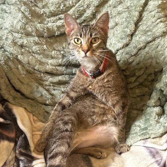 Dear John — thumbnail 6