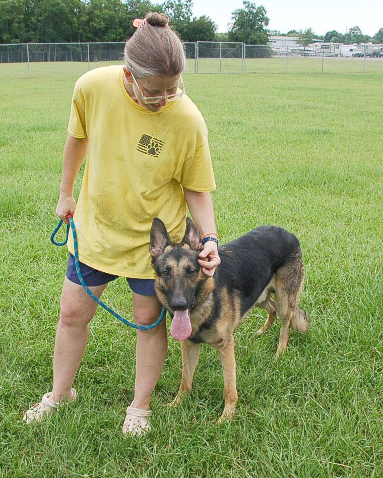 MAXX, a Adoptable German Shepherd Dog in Preston, CT image 5/6