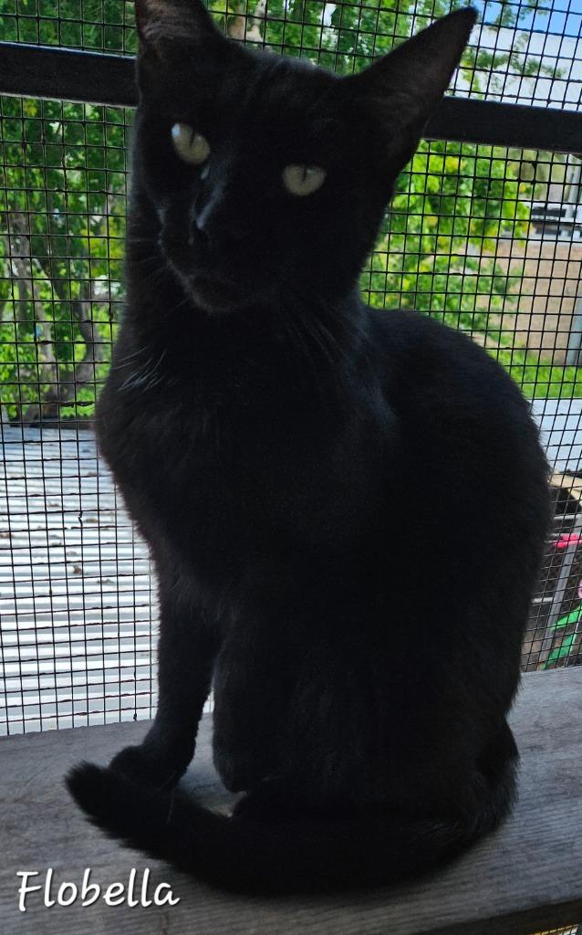 Flobella (Flo)