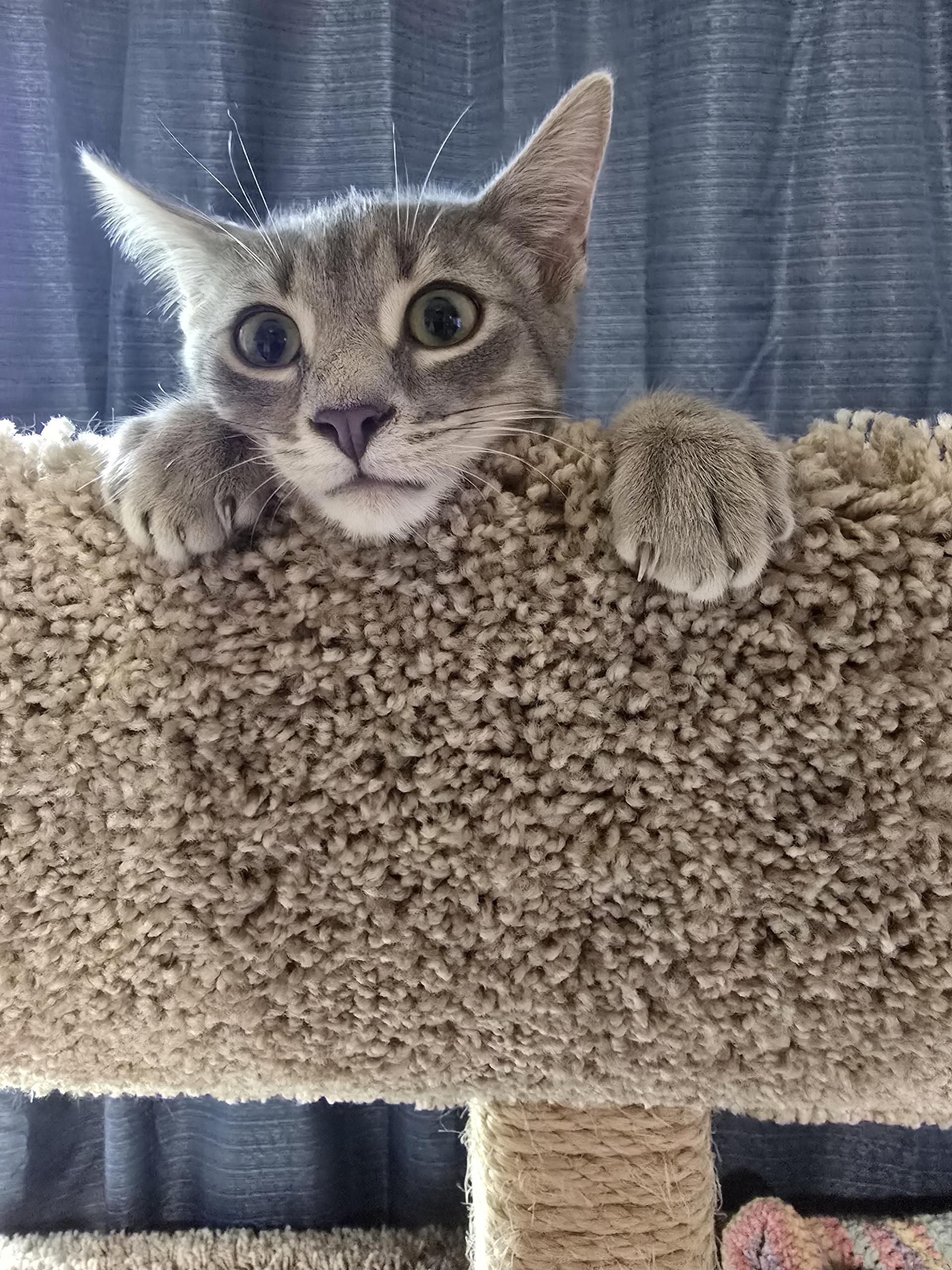 Luna