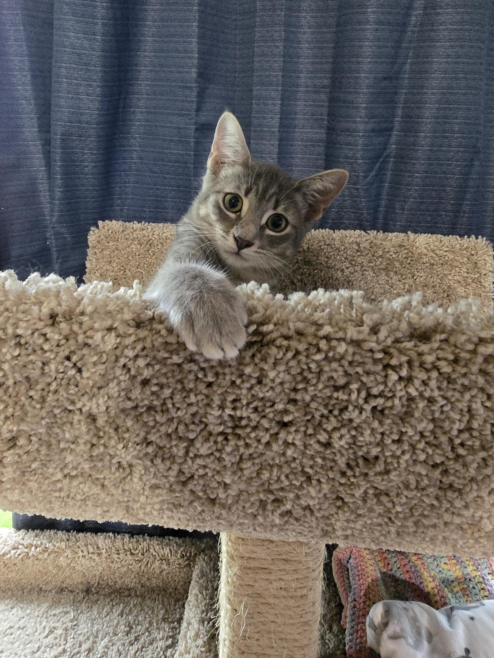 Luna