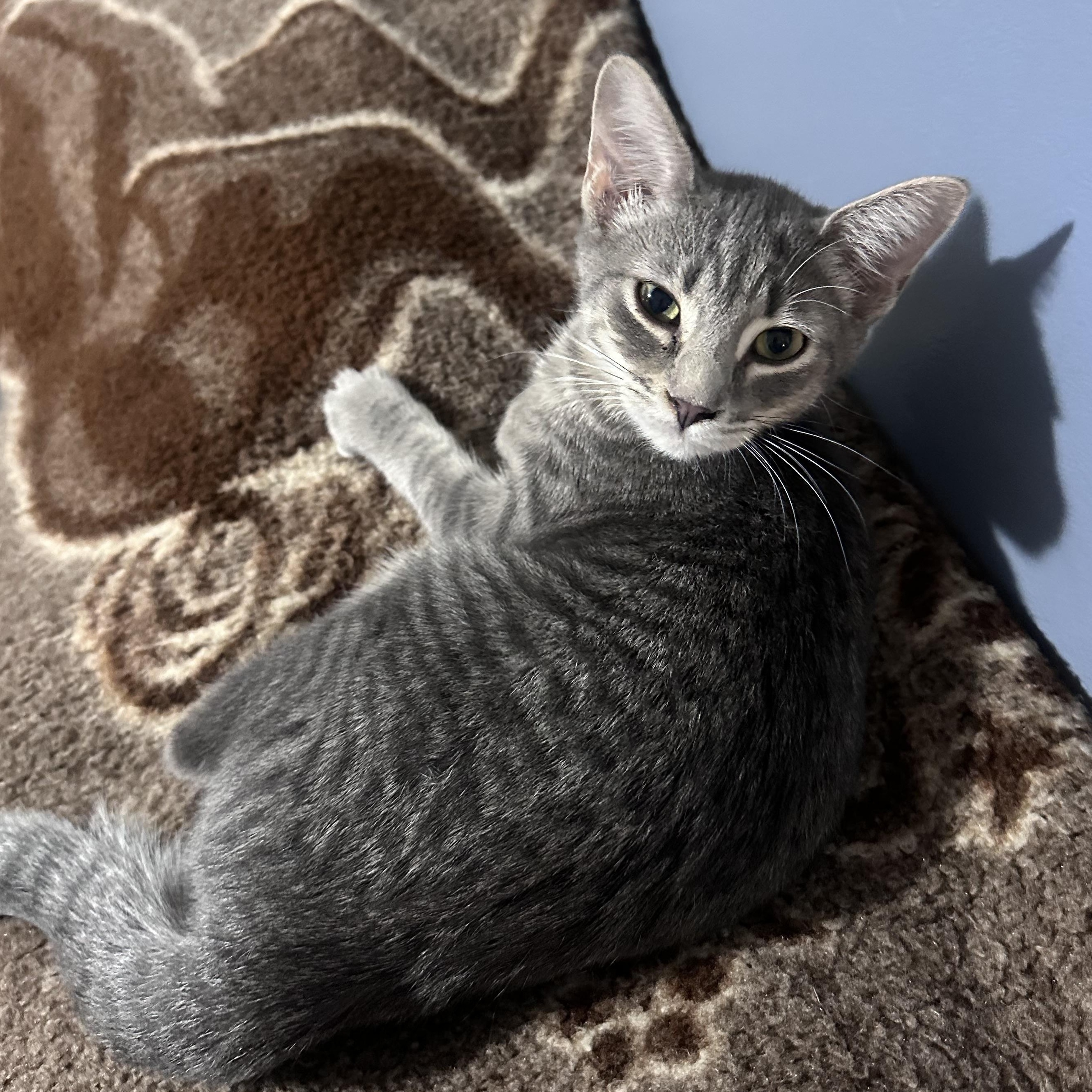 Luna