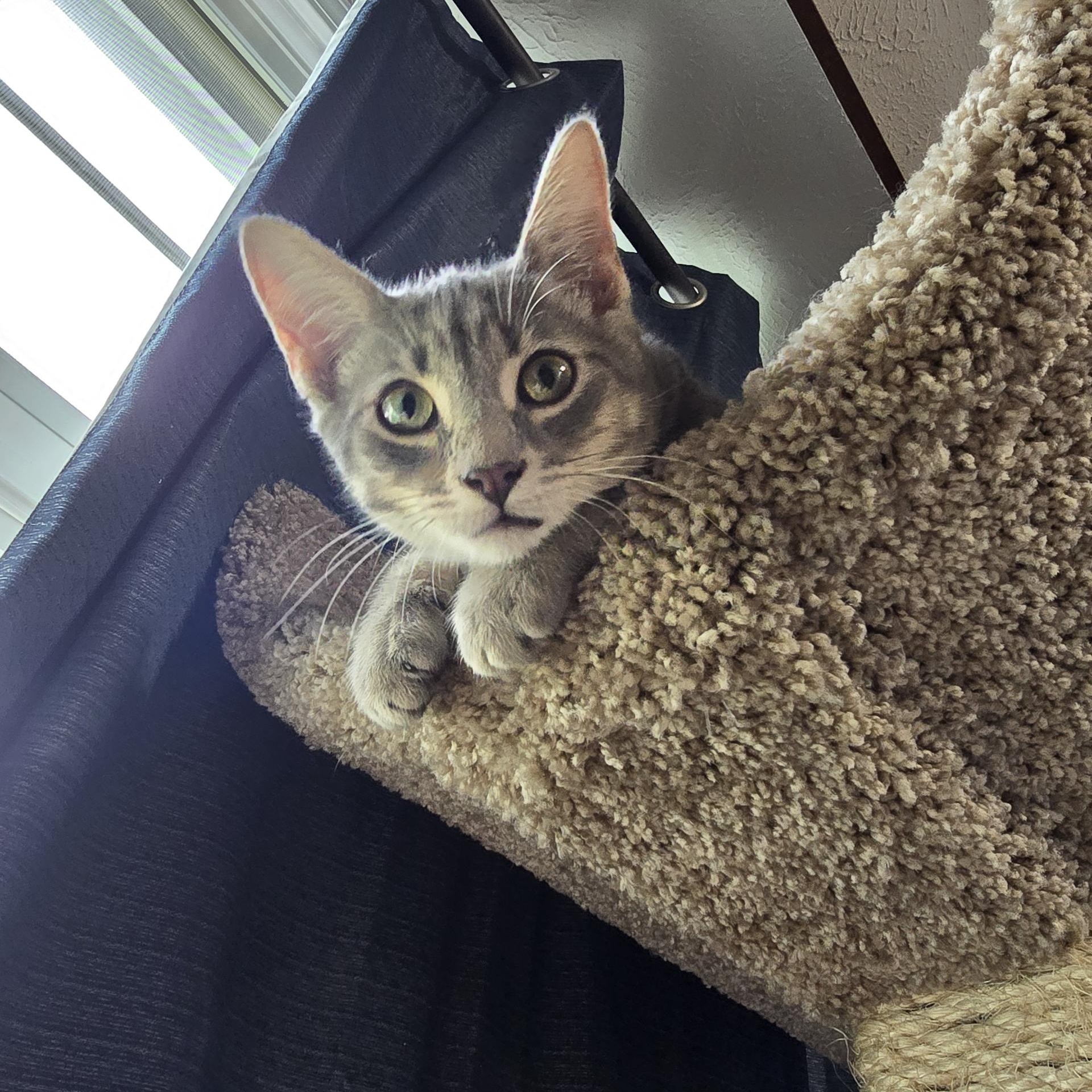Luna