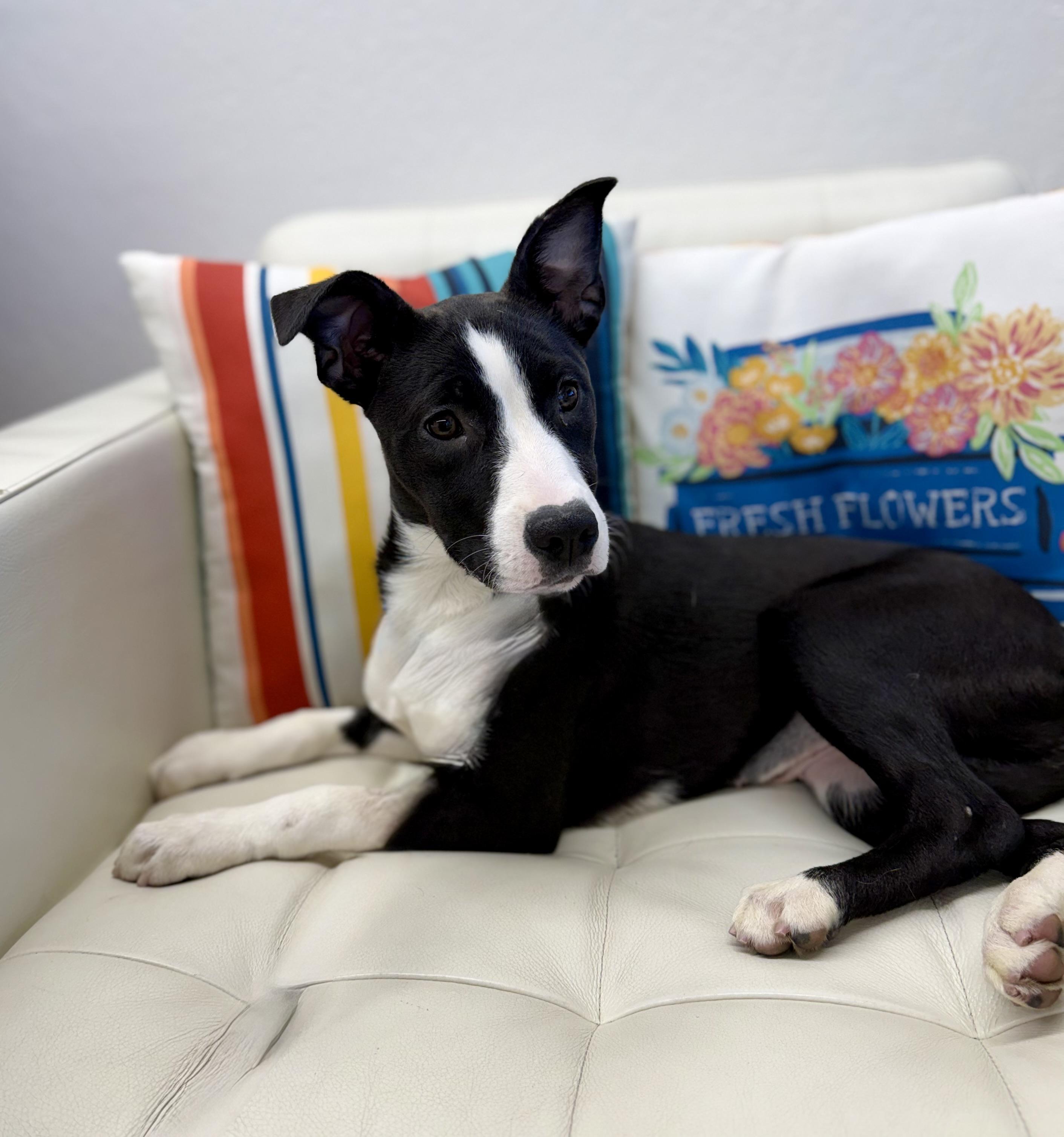 Sydney — thumbnail 2