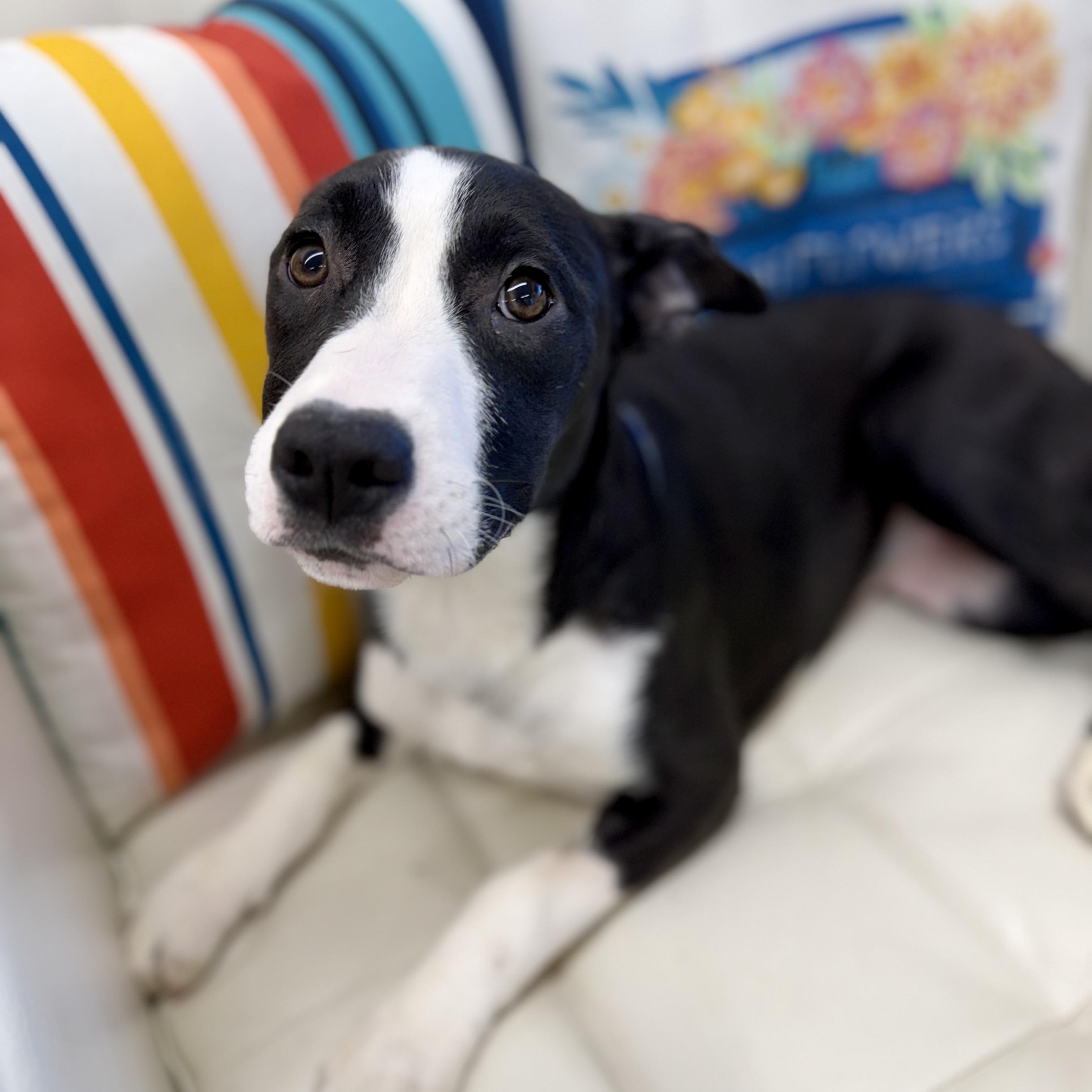 Sydney — thumbnail 3