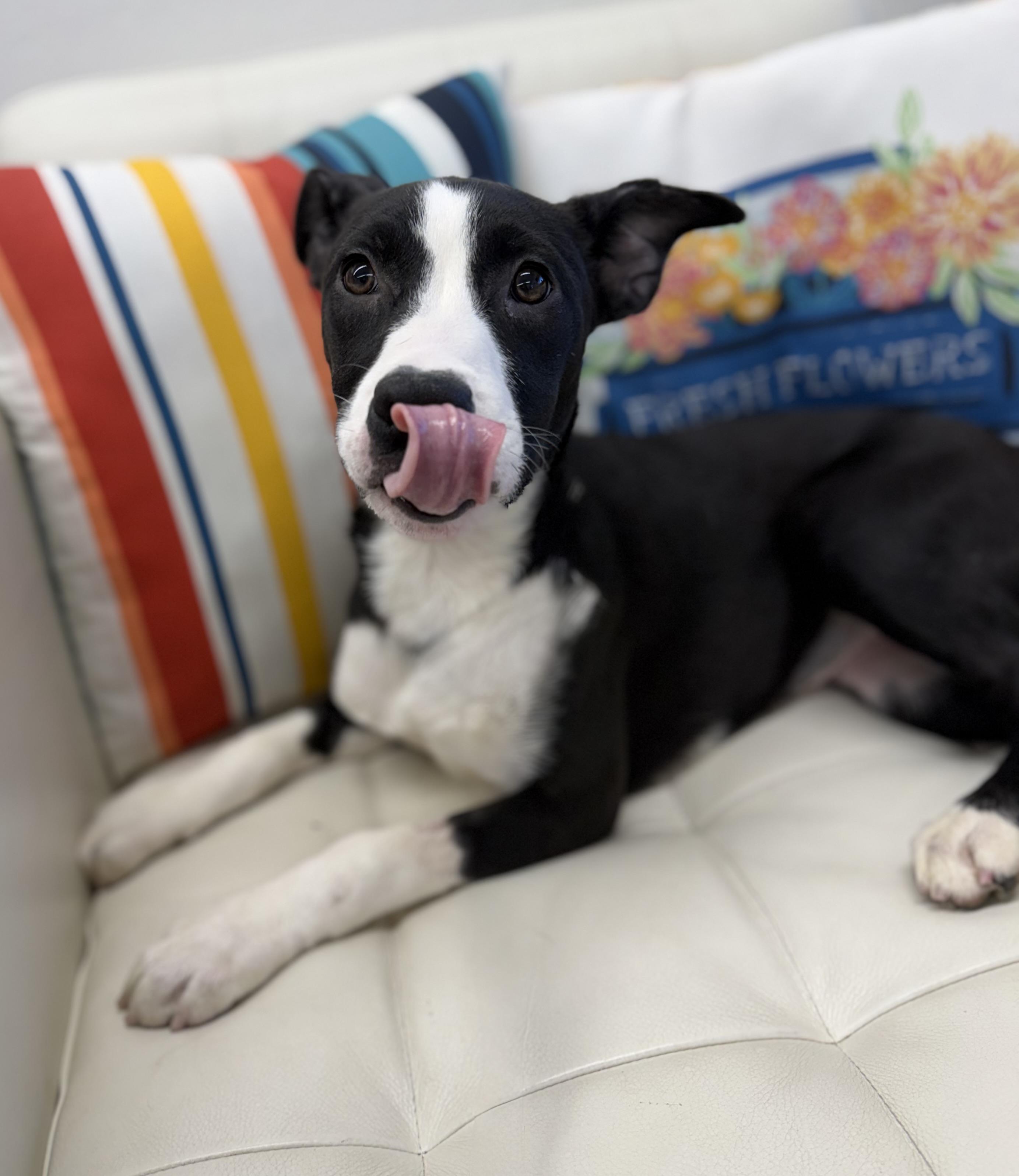 Sydney — thumbnail 5