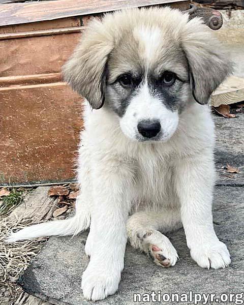 Maitea in OH - Flirty & Fun!