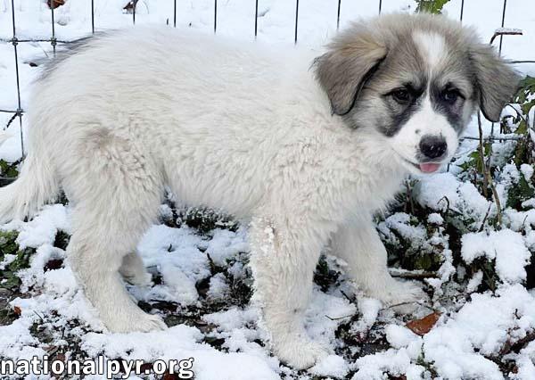 Maitea in OH - Flirty & Fun!