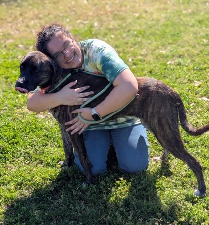 Enlarge Sunshine, a Adoptable mixed breed in Gulfport, MS image 2/3