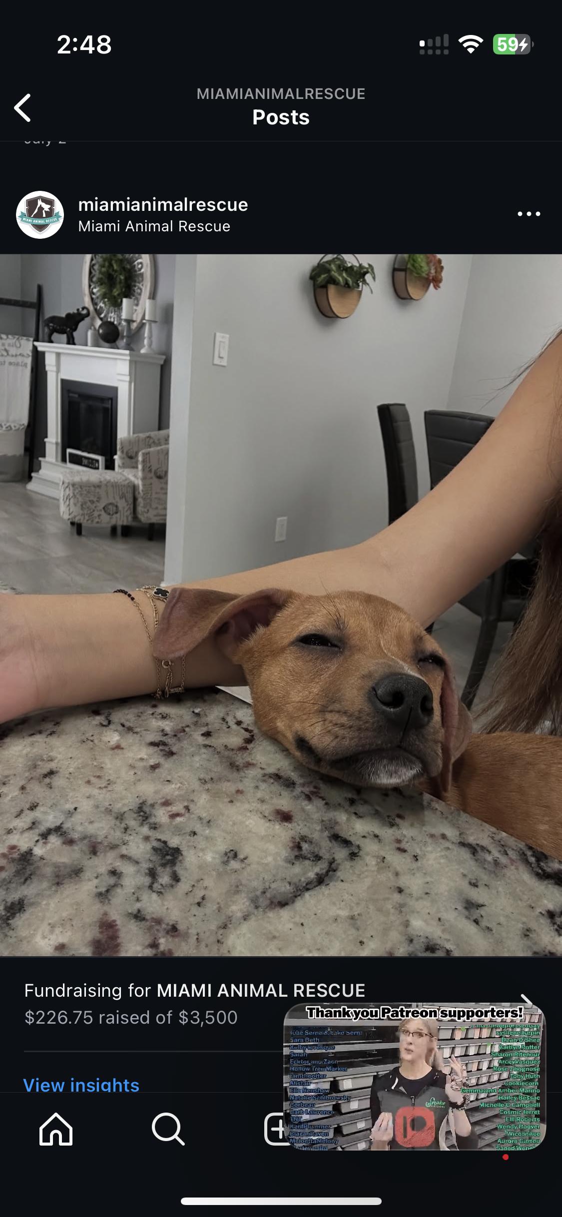Havana is a 3-month-old female puppy who is full of love and affection She enjoys cuddling up next 