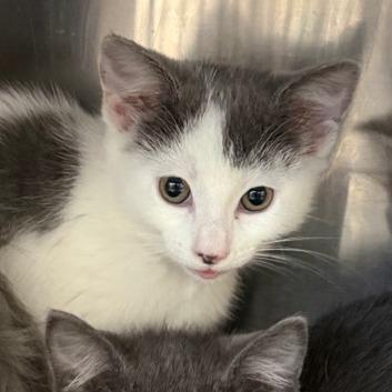 Rachel — thumbnail 2