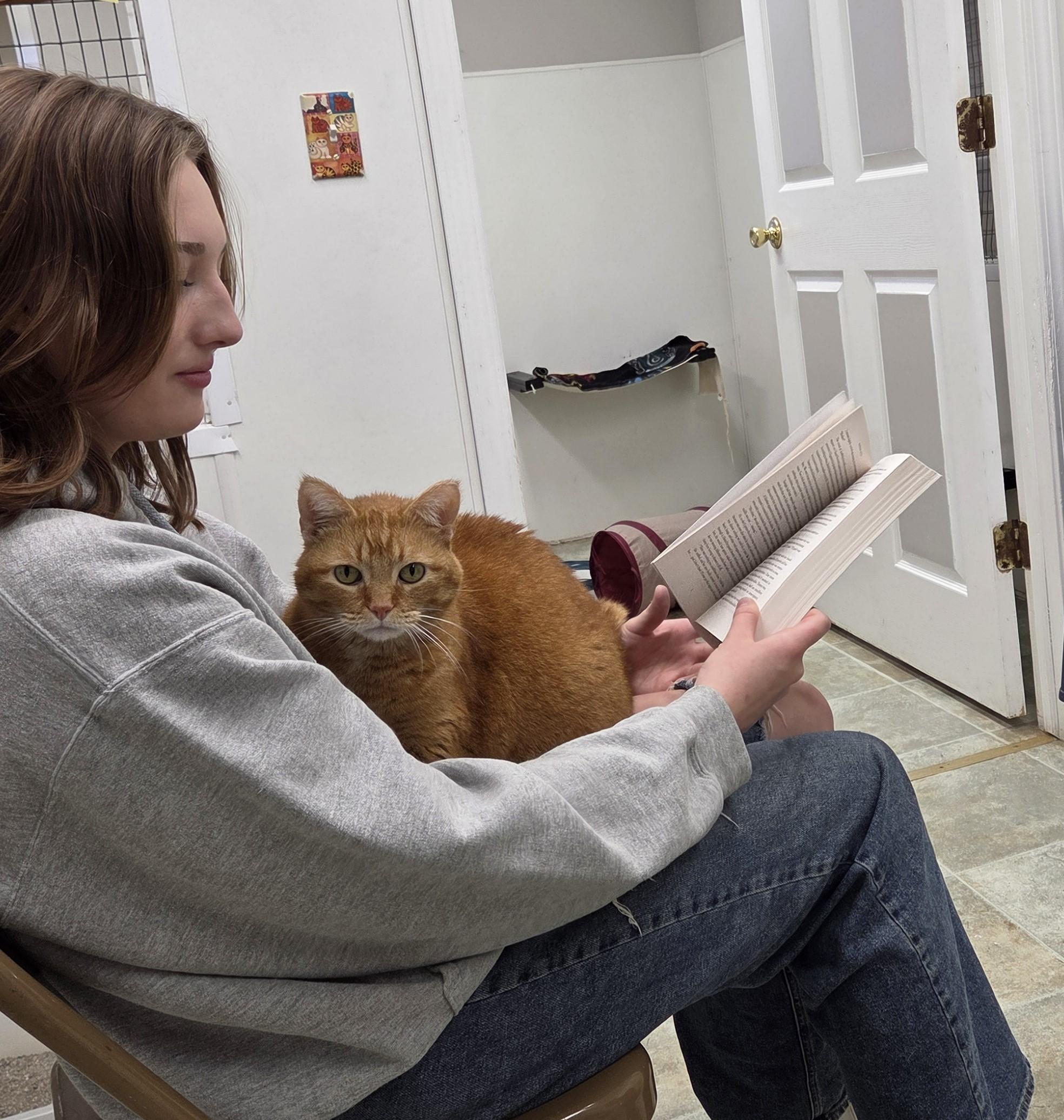 Enlarge Jinxy, a Adoptable mixed breed in Carsonville, MI image 3/6