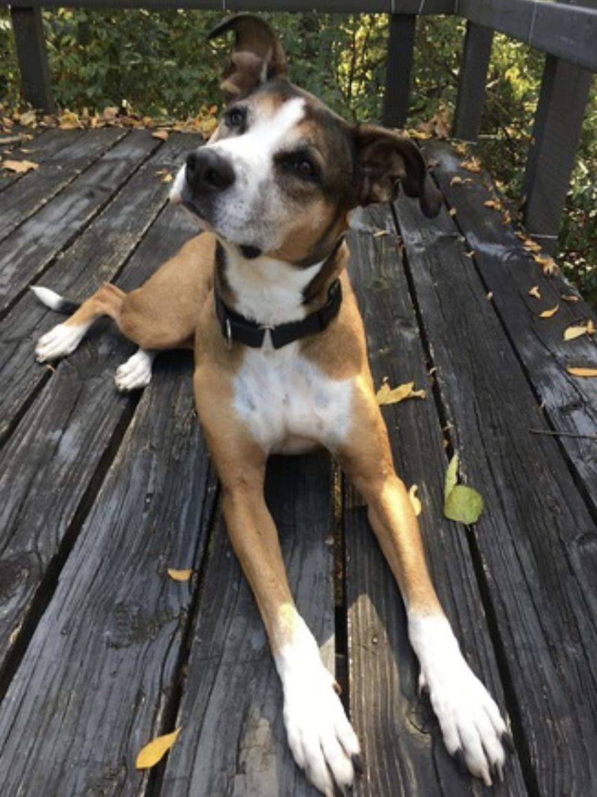 Augusta — thumbnail 4