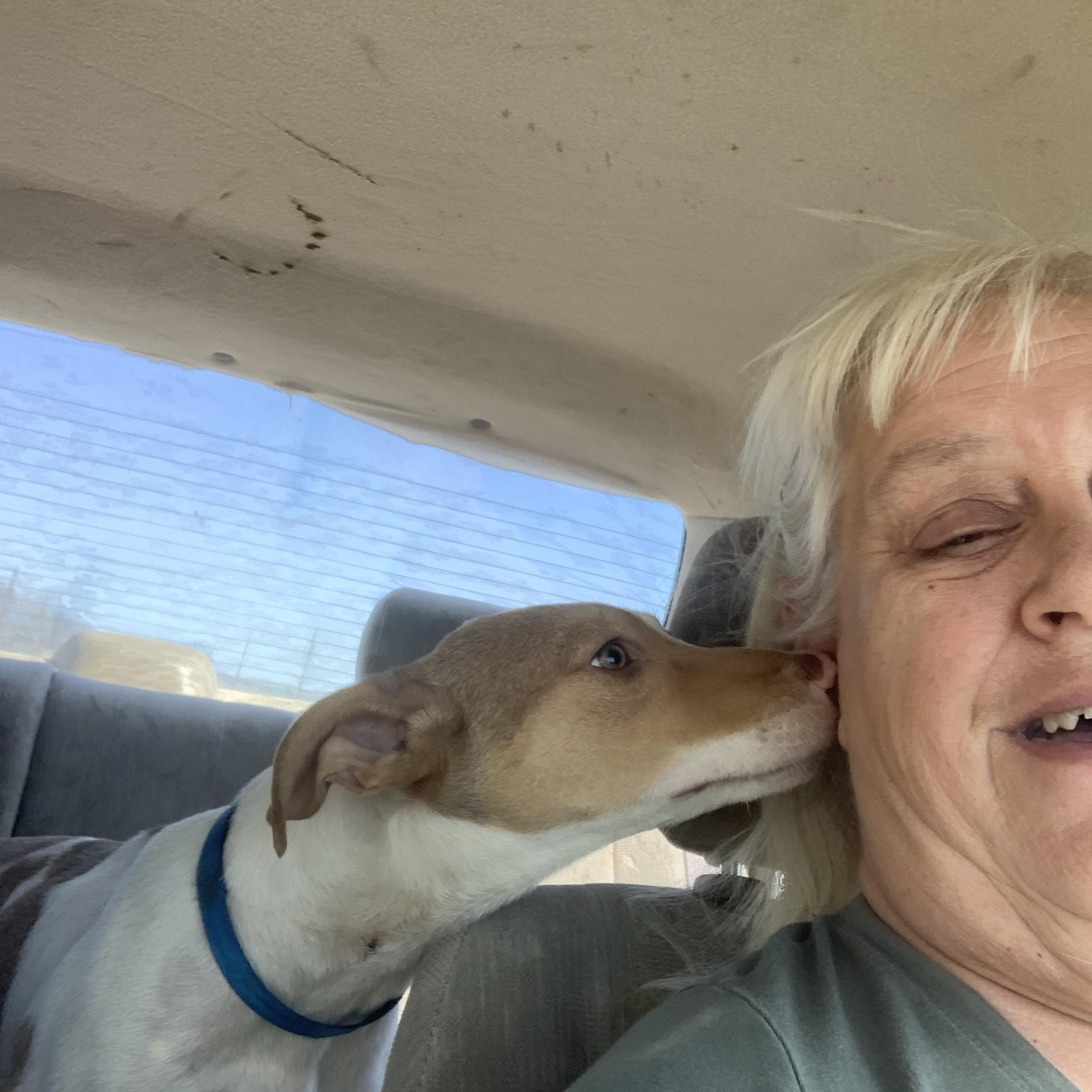 Enlarge Erin , a ADOPTABLE mixed breed in Beeville, TX image 1/3