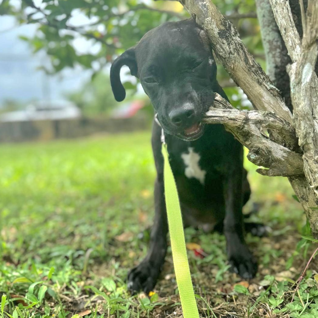 Kisco "i Am Ready thumbnail 5