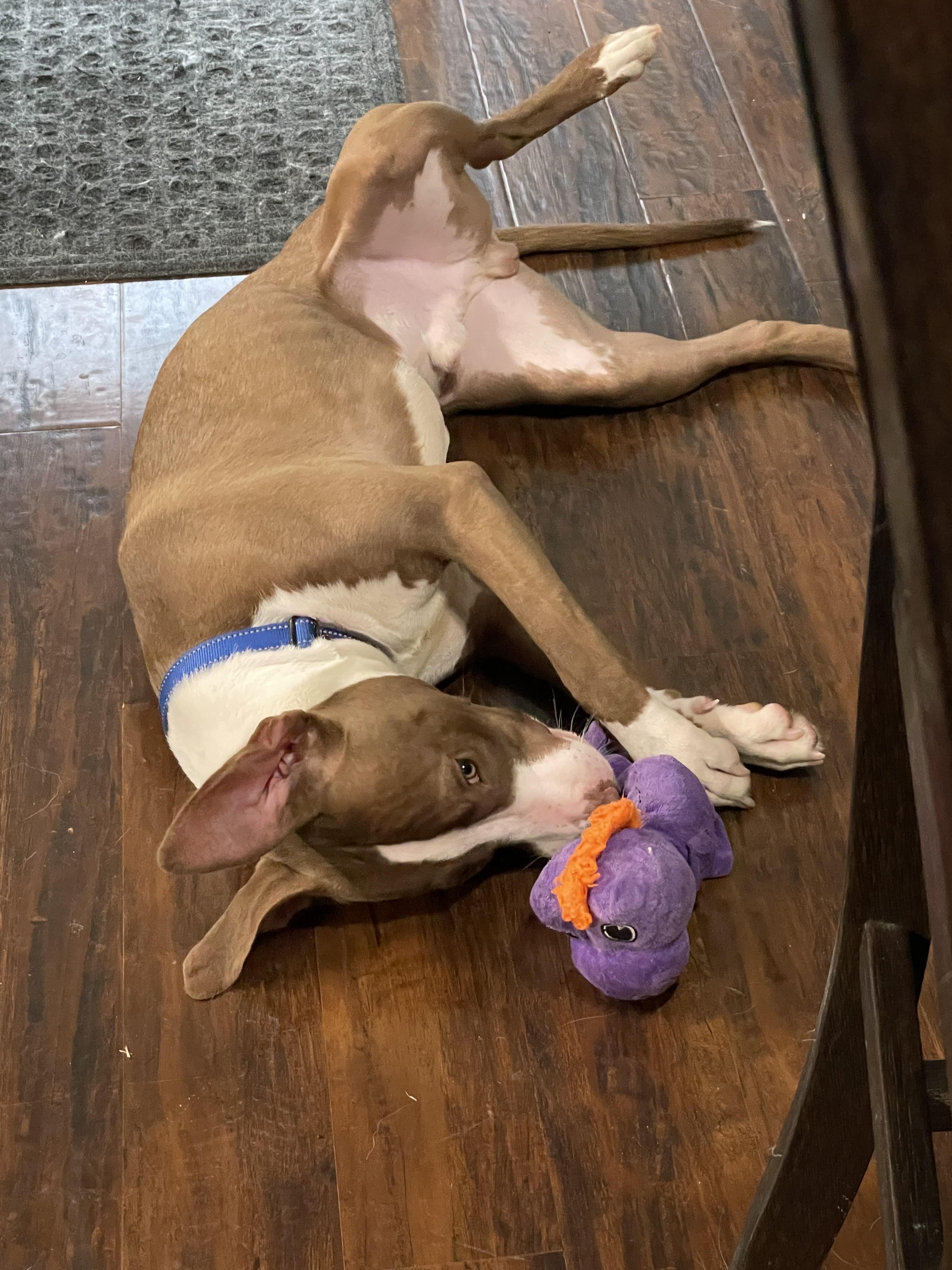 Leroy