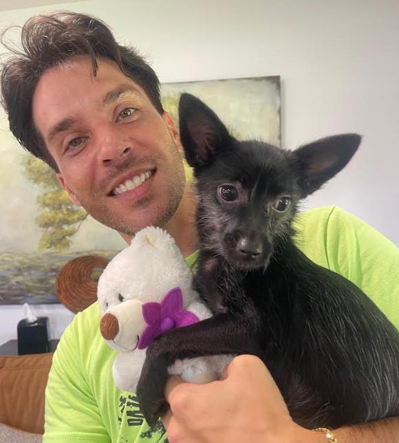 Penelope thumbnail 2