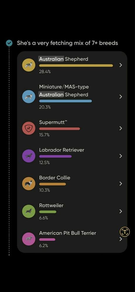 Enlarge Binx, a Adoptable mixed breed in Waterloo, IN image 6/6