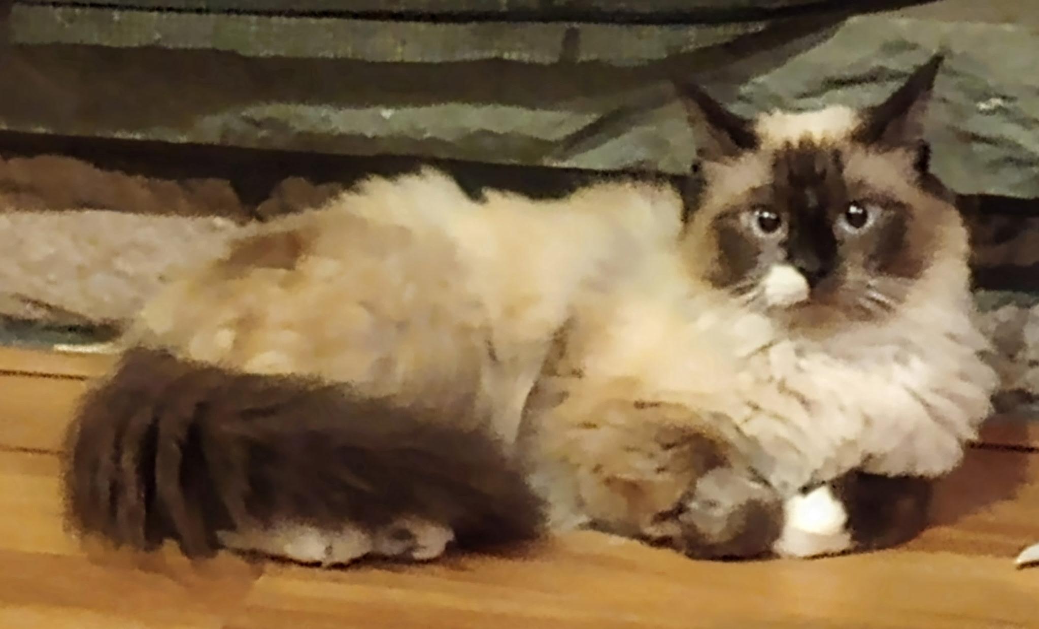 Sara