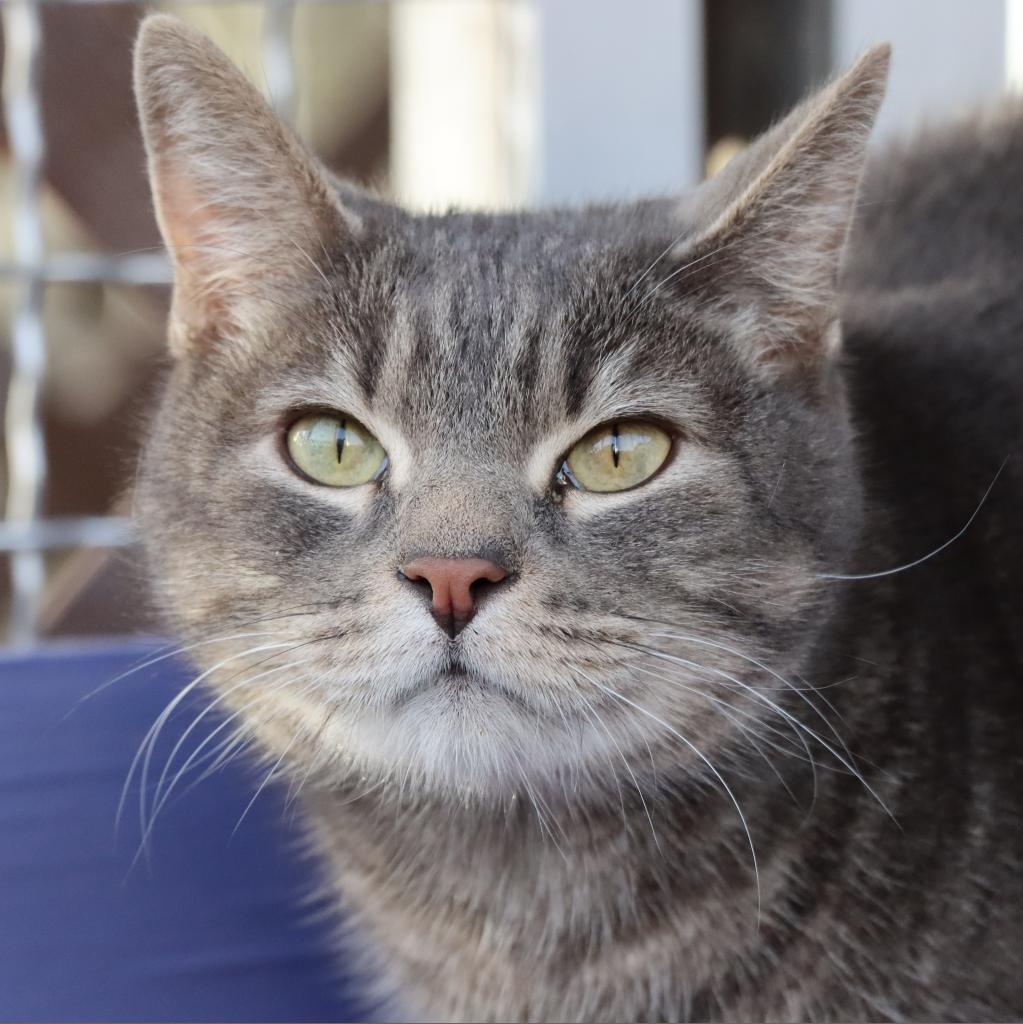 Neuron — thumbnail 2