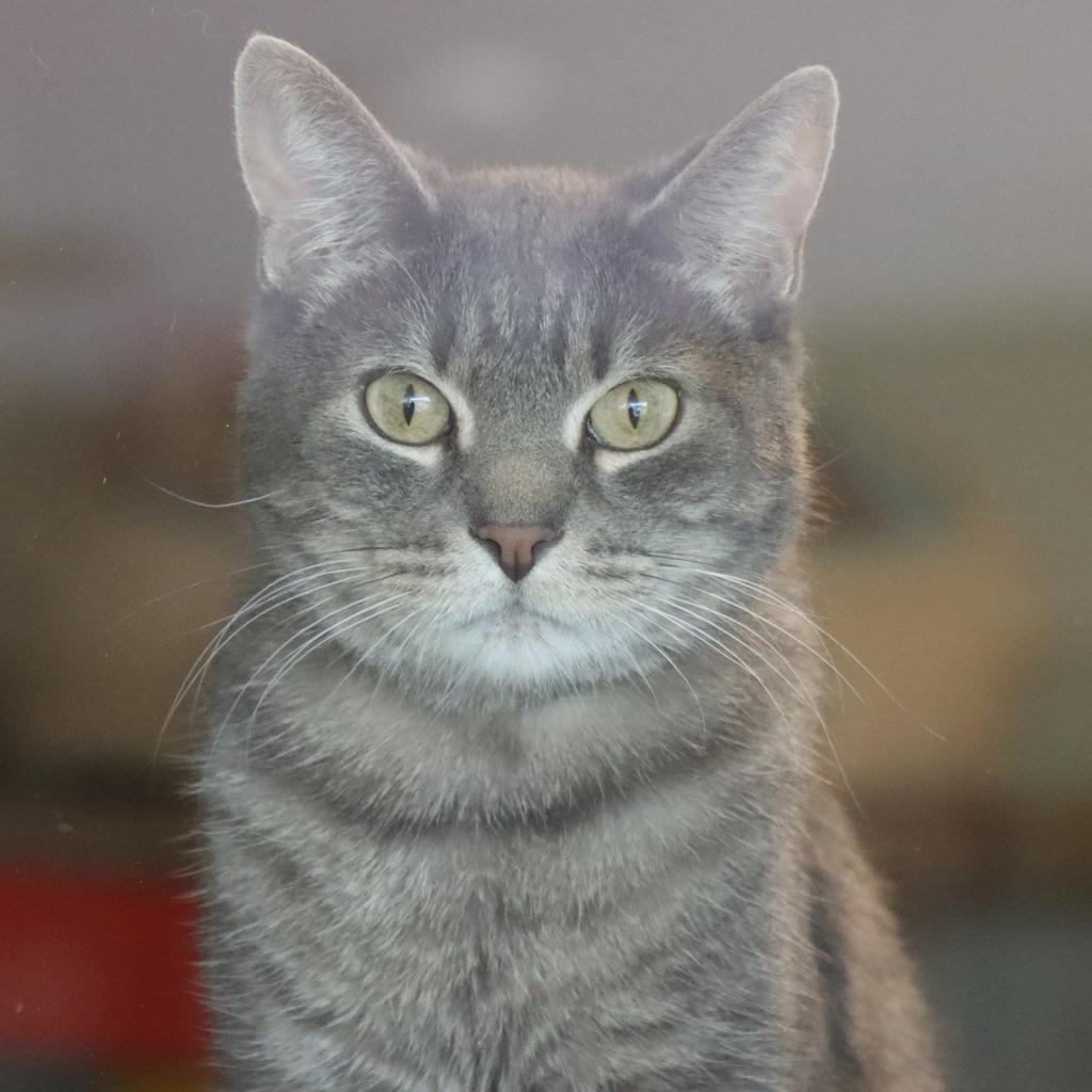 Neuron — thumbnail 3