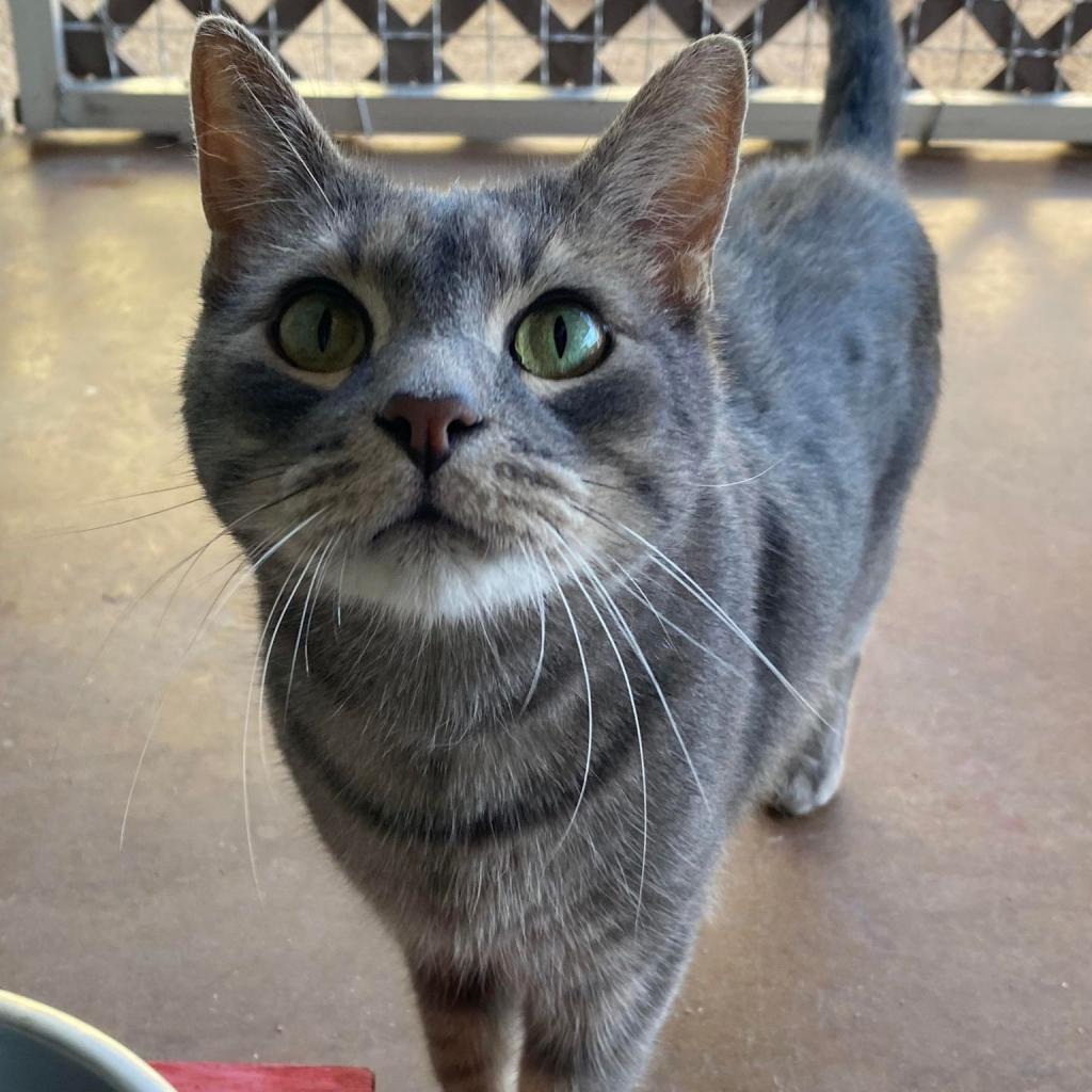 Neuron — thumbnail 5