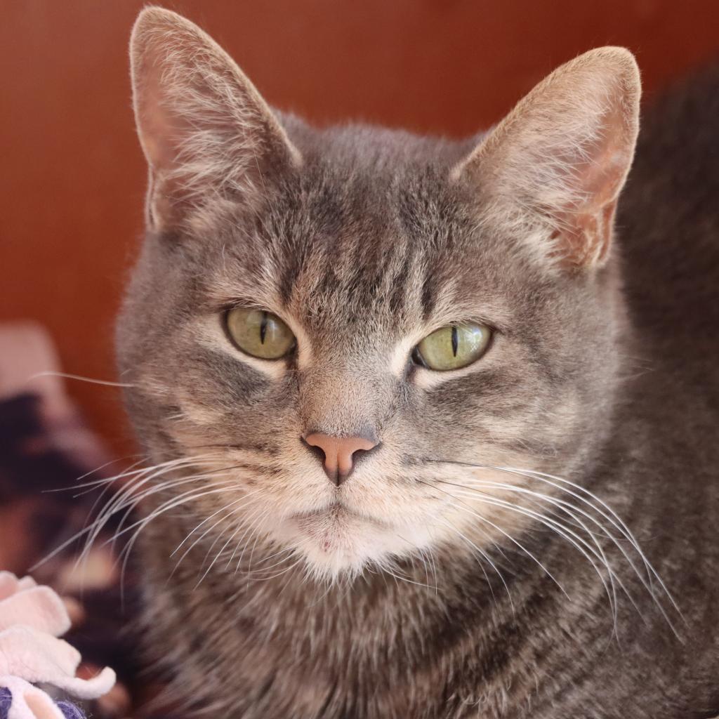 Neuron — thumbnail 6