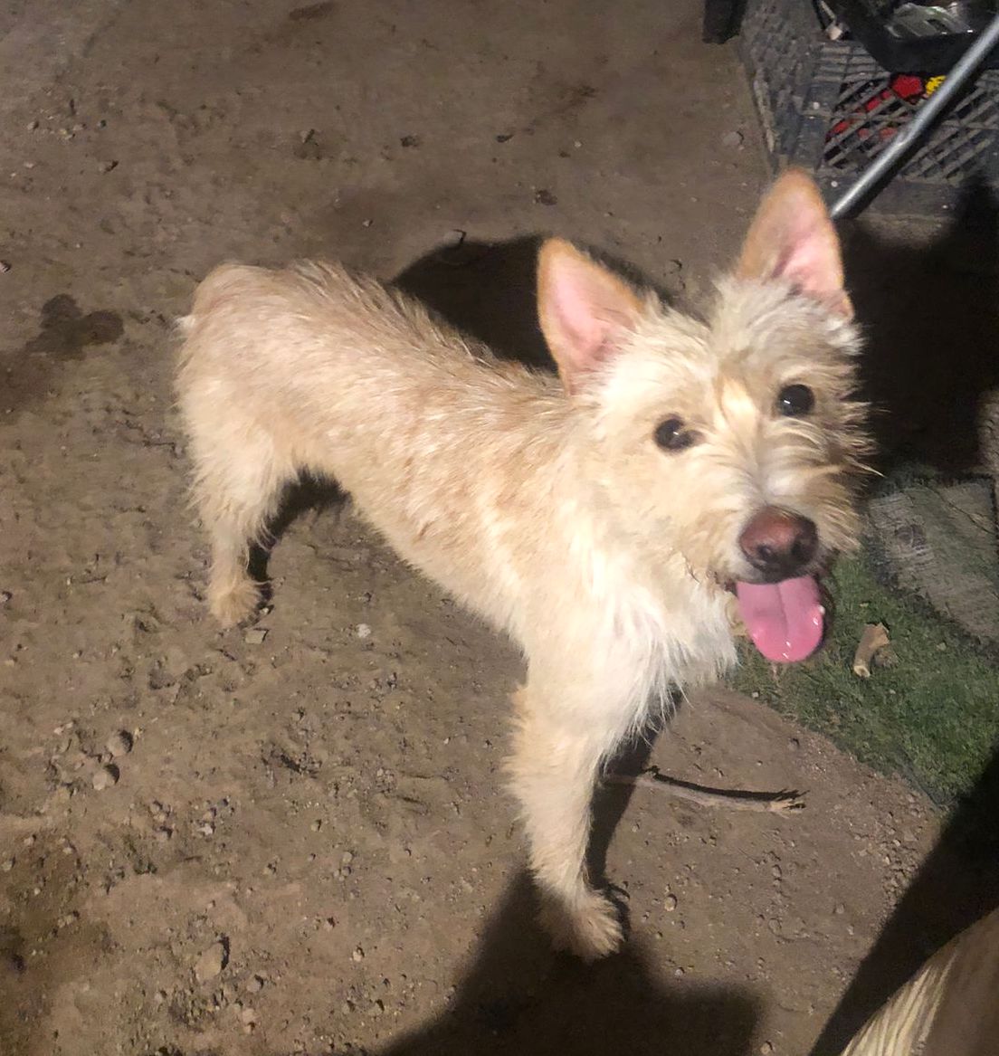 Macarrón — thumbnail 2