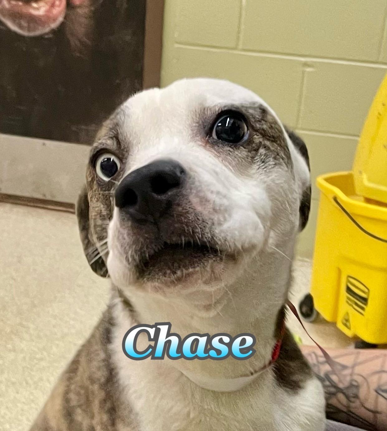 Chase
