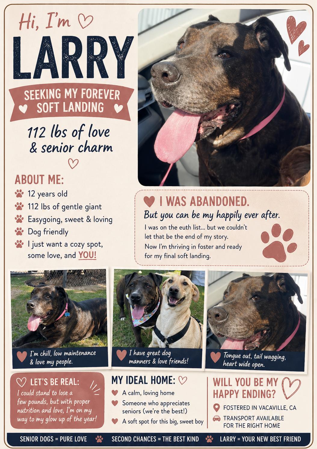 Enlarge Larry, a Adoptable Pit Bull Terrier in Sparks, NV image 1/4