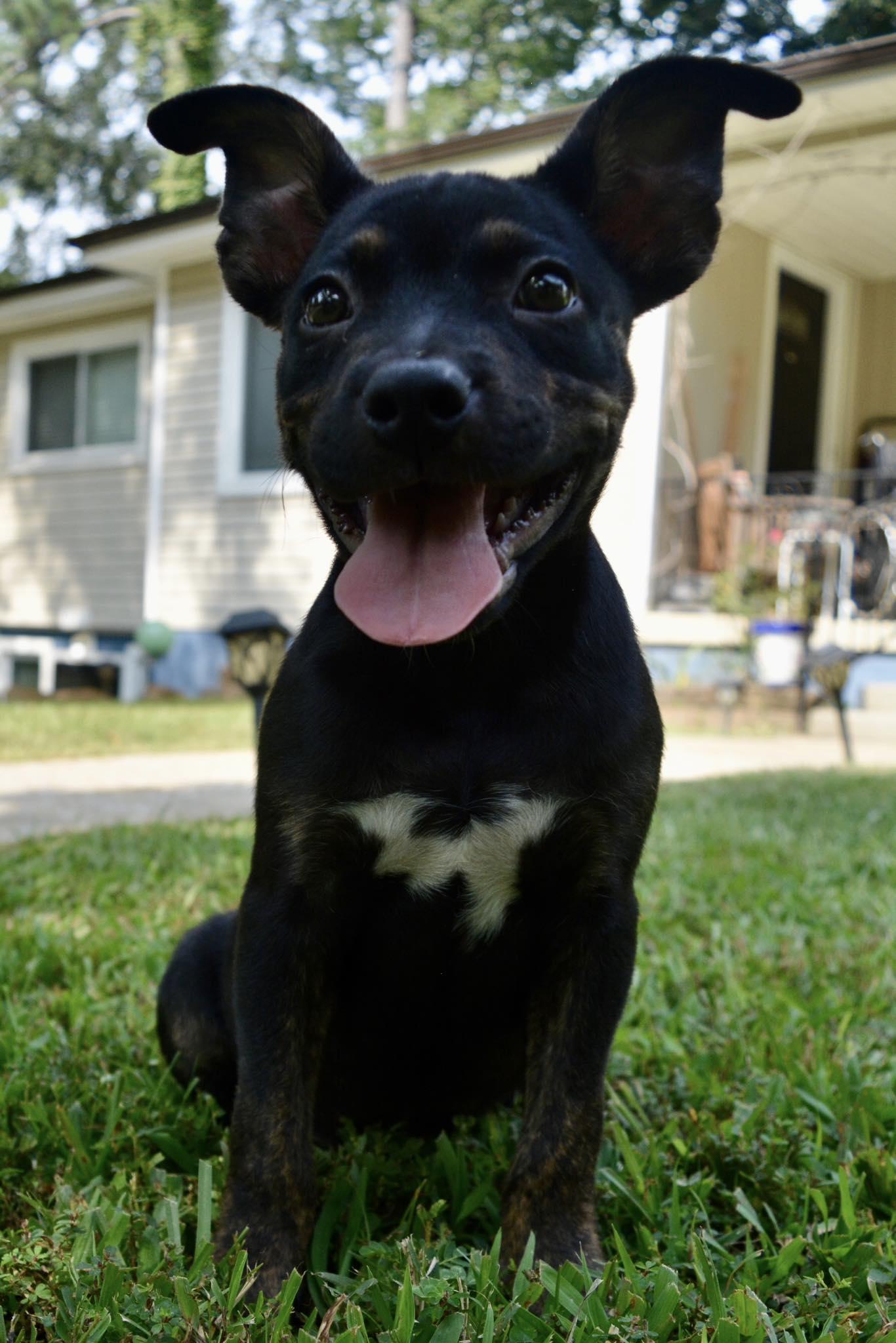 Caspian
