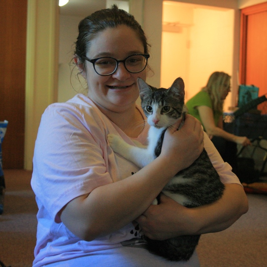 Plucky, a Adoptable Tabby image 4/4