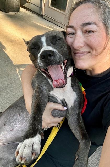 Monet aka Munae (in foster), Adoptable, Young Female Mixed Breed & Mixed Breed.