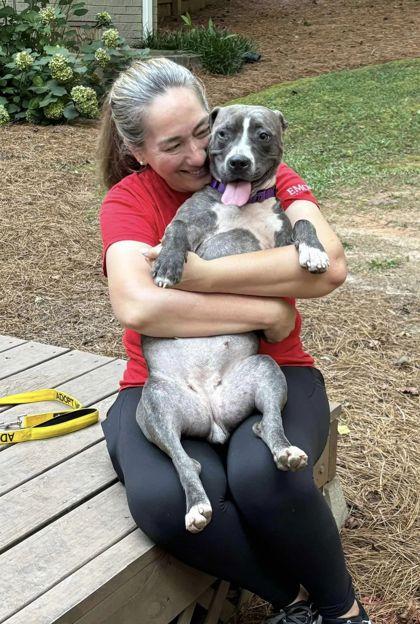 Monet aka Munae (in foster), Adoptable, Young Female Mixed Breed & Mixed Breed.